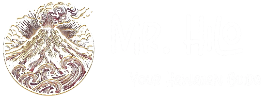 Mr Hilo Logo